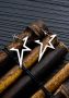 Firetti Oorstekers Sieraad cadeau oorbellen ster - Thumbnail 2