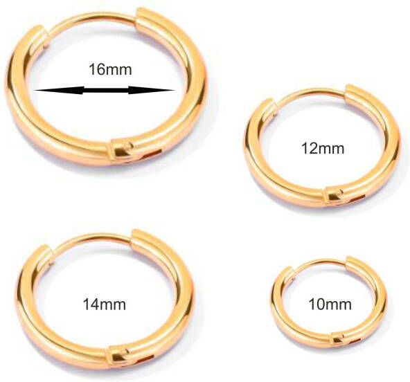 Firetti Single-oorring Sieraad cadeau oorbellen enkel Classic