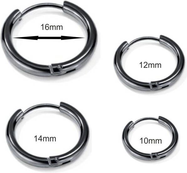Firetti Single-oorring Sieraad cadeau oorbellen enkel Classic