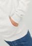 Jack & Jones Hoodie JJEJOSH SWEAT HOOD NOOS - Thumbnail 6