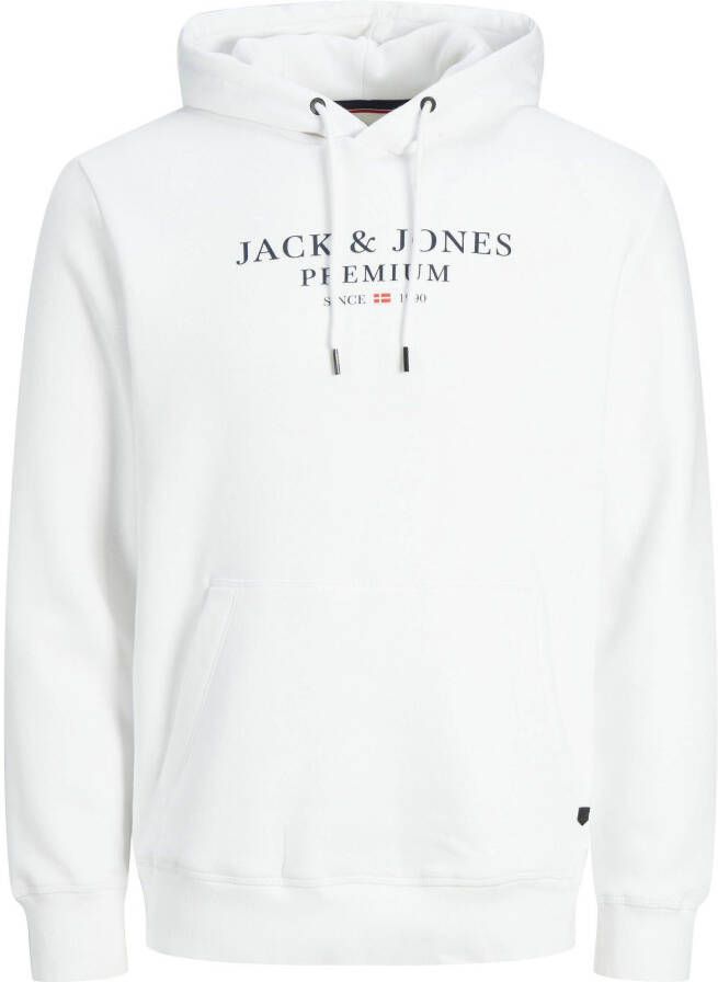Jack & Jones Hoodie JPRBLUARCHIE SWEAT HOOD NOOS