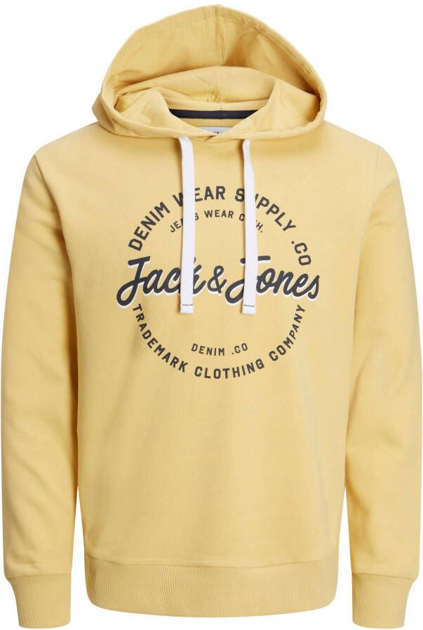 Jack & Jones Hoodie JJ JJANDY SWEAT HOOD