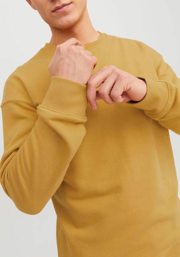 Jack & Jones Sweatshirt JJESTAR BASIC SWEAT CREW NECK NOOS