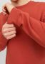 Jack & Jones Sweatshirt JJESTAR BASIC SWEAT CREW NECK NOOS - Thumbnail 4