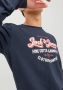 Jack & Jones Sweatshirt JJ JJANDY SWEAT CREW NECK - Thumbnail 6