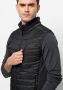 Jack Wolfskin Routeburn Pro Ins Vest Men Outdoor-bodywarmer Heren XXL zwart black - Thumbnail 3