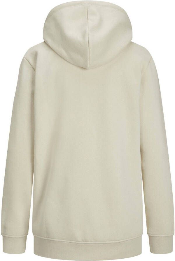 JJXX Hoodie JXABBIE LS REL EVERY BRUSH HOOD