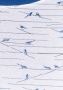 KangaROOS Shirt met lange mouwen met schattige all-over vogelprint - Thumbnail 7