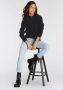 Laura Scott Schipperstrui - Thumbnail 8
