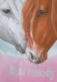 Miss Melody Shirt met lange mouwen voor paardenfans - Thumbnail 4