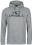 O'Neill hoodie met printopdruk grijs - Thumbnail 5