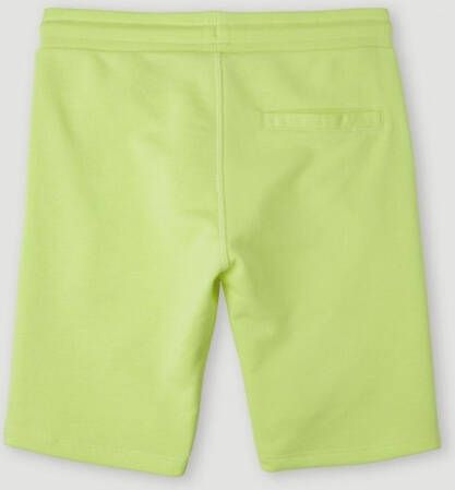 O'Neill Short ALL YEAR JOGGER SHORTS