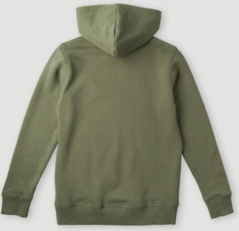 O'Neill Sweatshirt ALL YEAR HOODIE