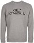 O'Neill Sweatshirt O' NEILL CREW - Thumbnail 5