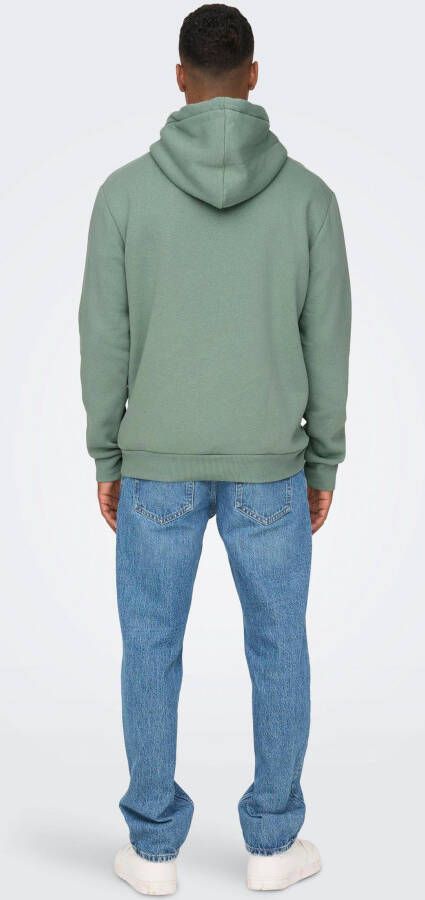 ONLY & SONS Hoodie CERES LIFE HOODIE SWEAT