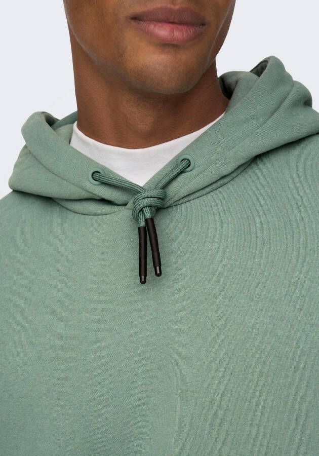 ONLY & SONS Hoodie CERES LIFE HOODIE SWEAT