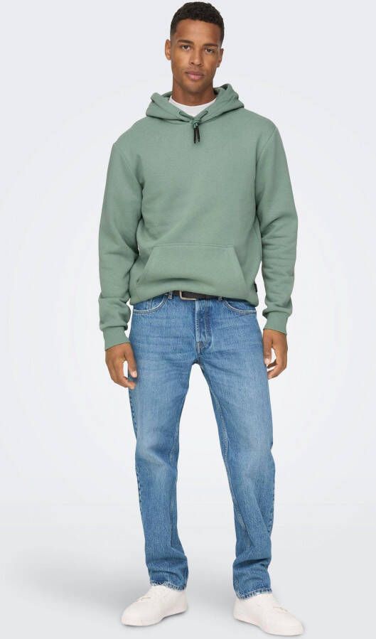 ONLY & SONS Hoodie CERES LIFE HOODIE SWEAT