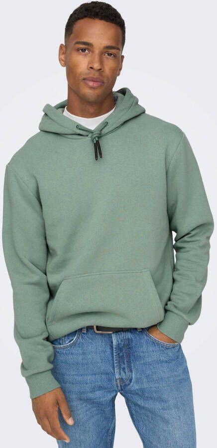 ONLY & SONS Hoodie CERES LIFE HOODIE SWEAT