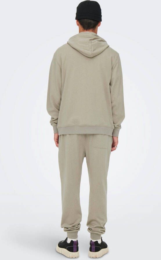 ONLY & SONS Hoodie ONSELON LIFE REG LOGO HOOD 3842 SWT