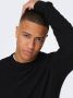 ONLY & SONS Trui met ronde hals ONSKALLE REG 12 STRUC CREW KNIT NOOS - Thumbnail 6