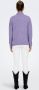 Only Gebreide trui ONLCAMILLA O-NECK L S PULLOVER KNT - Thumbnail 4