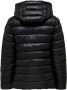 Only Gewatteerde jas ONLSKY QUILTED JACKET CC OTW - Thumbnail 7