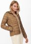 Only Bruine Tahoe Dames Pufferjas Brown Dames - Thumbnail 2