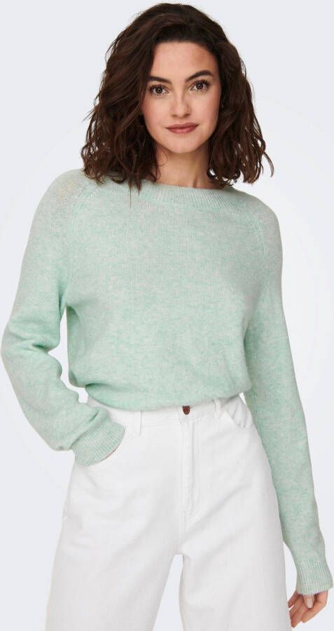 Only Trui met ronde hals ONLRICA LIFE L S PULLOVER KNT NOOS