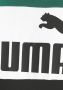 Puma Essentials+ Colorblock Shirt Junior - Thumbnail 6