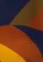 Seidensticker Zomerjurk Zwarte roos Lange mouwen kraag print - Thumbnail 6