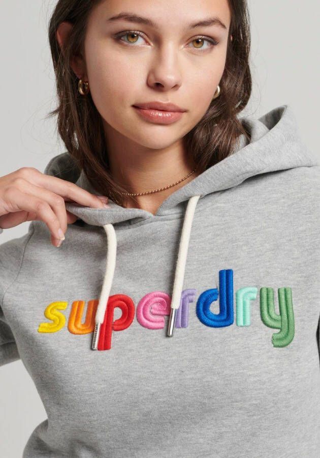 Superdry Sweatvest Core Logo Rainbow Hoodie