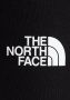 The North Face Sweatshort NF0A3S4FJK31 M Graphic Short light - Thumbnail 7