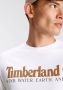 Timberland T-shirt - Thumbnail 5