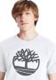 Timberland Witte T shirt Ss K r Brand Tree T - Thumbnail 9