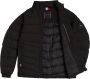 Tommy Hilfiger Gewatteerde jas BRANDED STAND COLLAR JACKET met opstaande kraag - Thumbnail 4