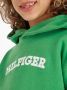 Tommy Hilfiger hoodie HILFIGER ARCHED met logo frisgroen Sweater Logo 104 - Thumbnail 5