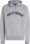 Tommy Hilfiger Hoodie met labelstitching model 'ARCHED HOODY' - Thumbnail 5