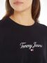Tommy Jeans Curve Sweatshirt TJW CRV ESSENTIAL LOGO 1 CREW PLUS SIZE CURVE met Tommy Jeans logo & vlag - Thumbnail 3