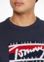 TOMMY JEANS Gebreide trui TJM TOMMY GRAPHIC FLAG SWEATER - Thumbnail 4