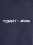 Tommy Hilfiger Reg Linear Tommy Jeans Sweatshirt Blue Heren - Thumbnail 6