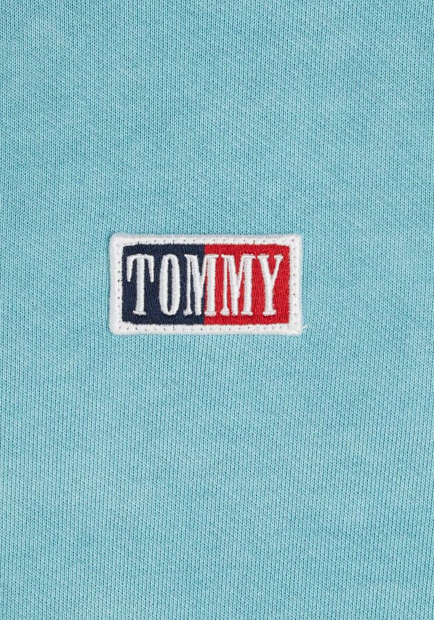 TOMMY JEANS Sweater TJM SKATER TIMELESS TOMMY CREW