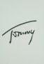 TOMMY JEANS Sweatshirt TJM BOXY DIP DYE SIGNATURE CREW - Thumbnail 7