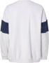 Tommy Jeans Sweatshirt in colour-blocking-design model 'REG AUTHENTIC BLOCK' - Thumbnail 5