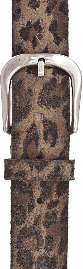 Vanzetti Leren riem met donkere airbrushranden animal-print eenvoudige pingesp
