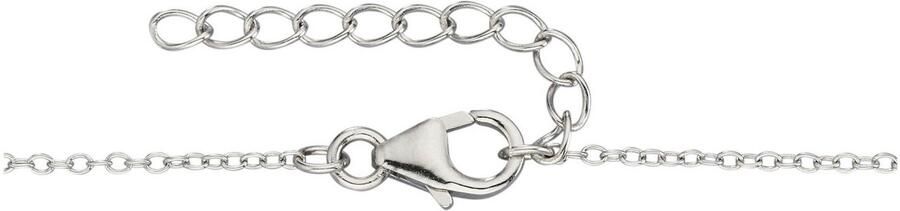 Firetti Ketting met hanger Sieraad cadeau zilver 925 halssieraad halsketting cirkel duiven hart - Foto 2