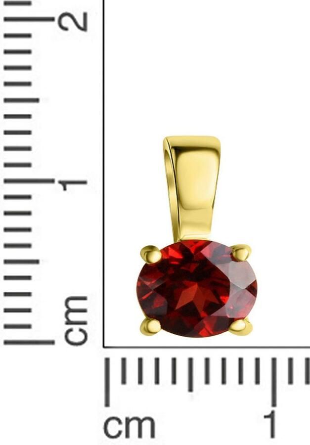 Firetti Kettinghanger Sieraad cadeau zilver 925 halssieraad hanger solitair robijn