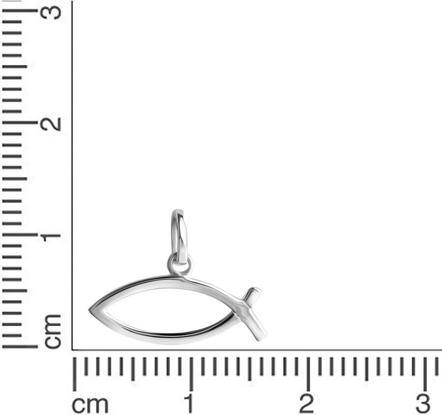 Firetti Kettinghanger Sieraad cadeau zilver 925 halssieraad hanger vis