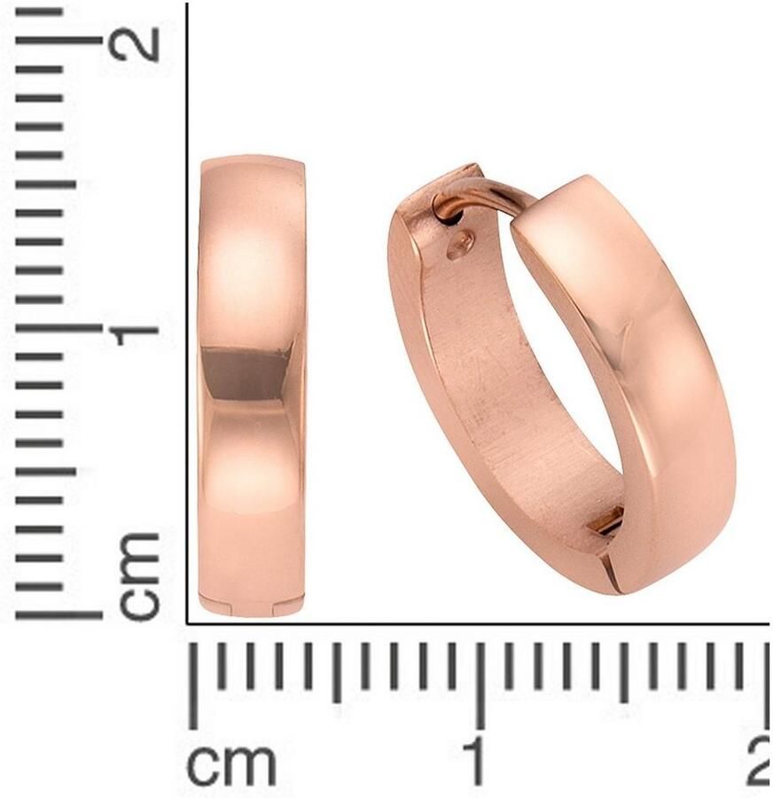 Firetti Oorringen Sieraad cadeau klassiek met zirkoon (synthetisch)