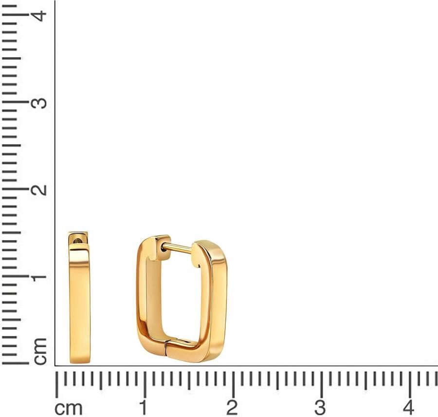 Firetti Paar creolen Sieraad cadeau oorbellen