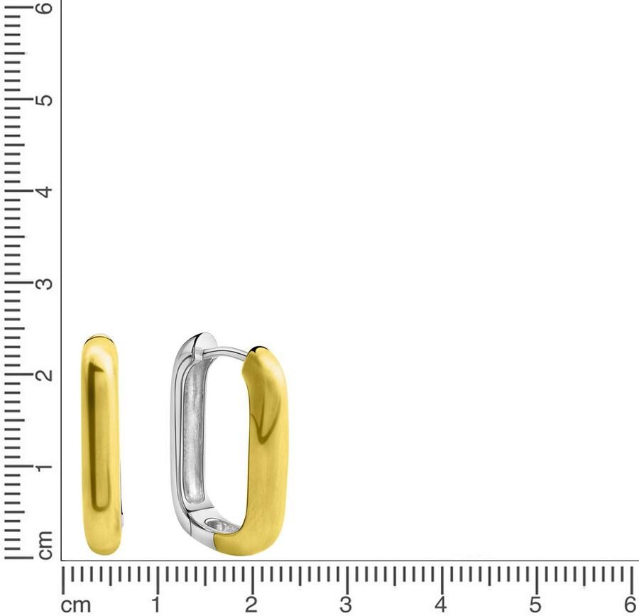 Firetti Paar creolen Sieraad cadeau zilver 925 oorbellen bicolor